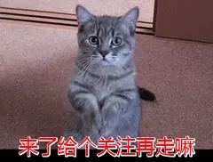 你知道什么猫咪脾气最臭吗？网友纷纷表示：太真实了！