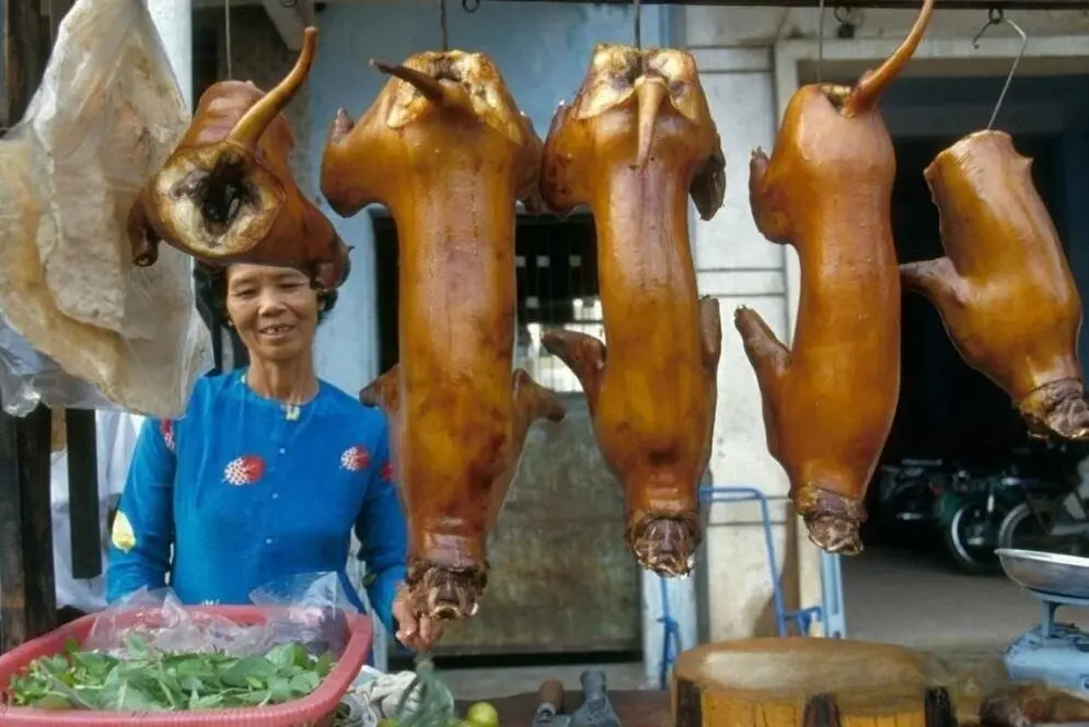 猫肉在越南如此受欢迎，中国吃货为何不爱猫肉？
