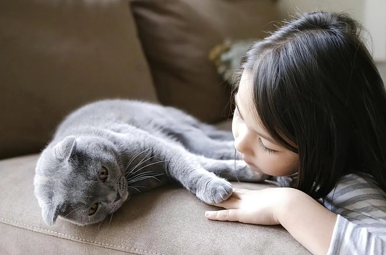 猫咪记忆和人一样吗？它会一直记住自己的主人吗？