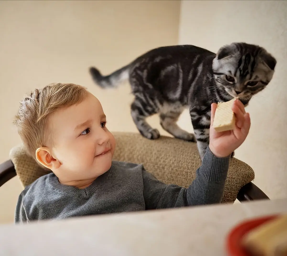 养猫和不养猫的人，十年后，身体差距有多大！