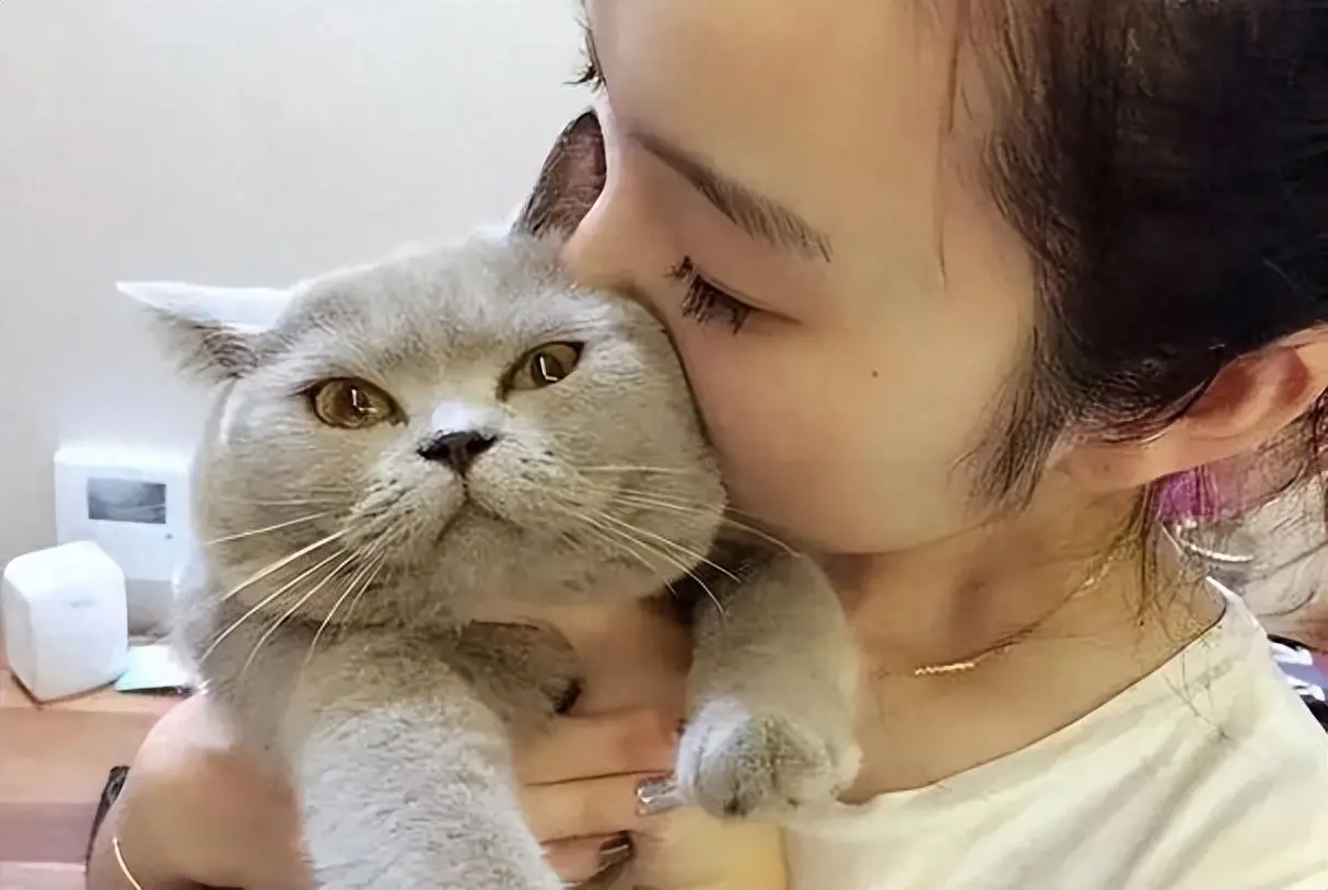 为什么猫咪会拒绝主人的索吻？它们是怎么想的？