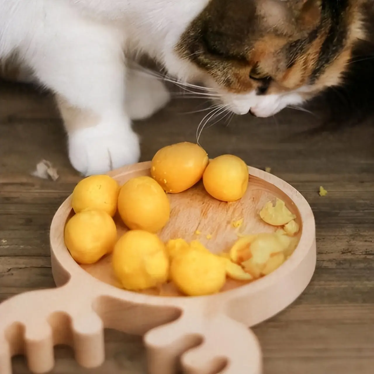 被称为猫界7种“人间美味”，兽医建议：可以给猫咪适量食用