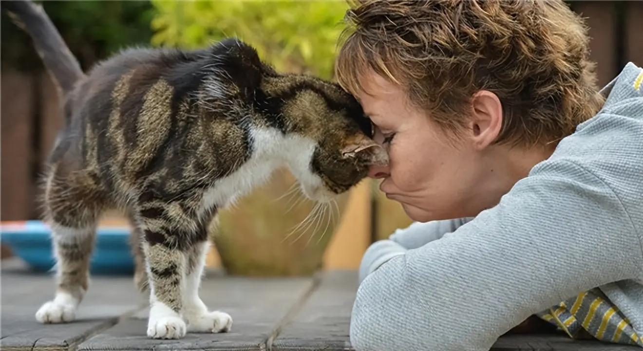 猫咪跟人类相处长时间后，真的不会产生感情吗？