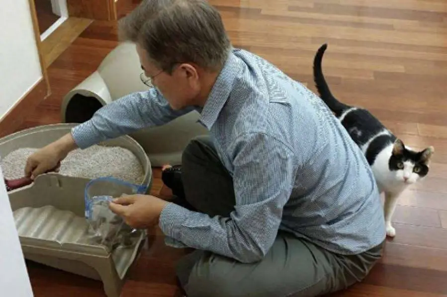 这9点，就是我不会再养猫的原因！