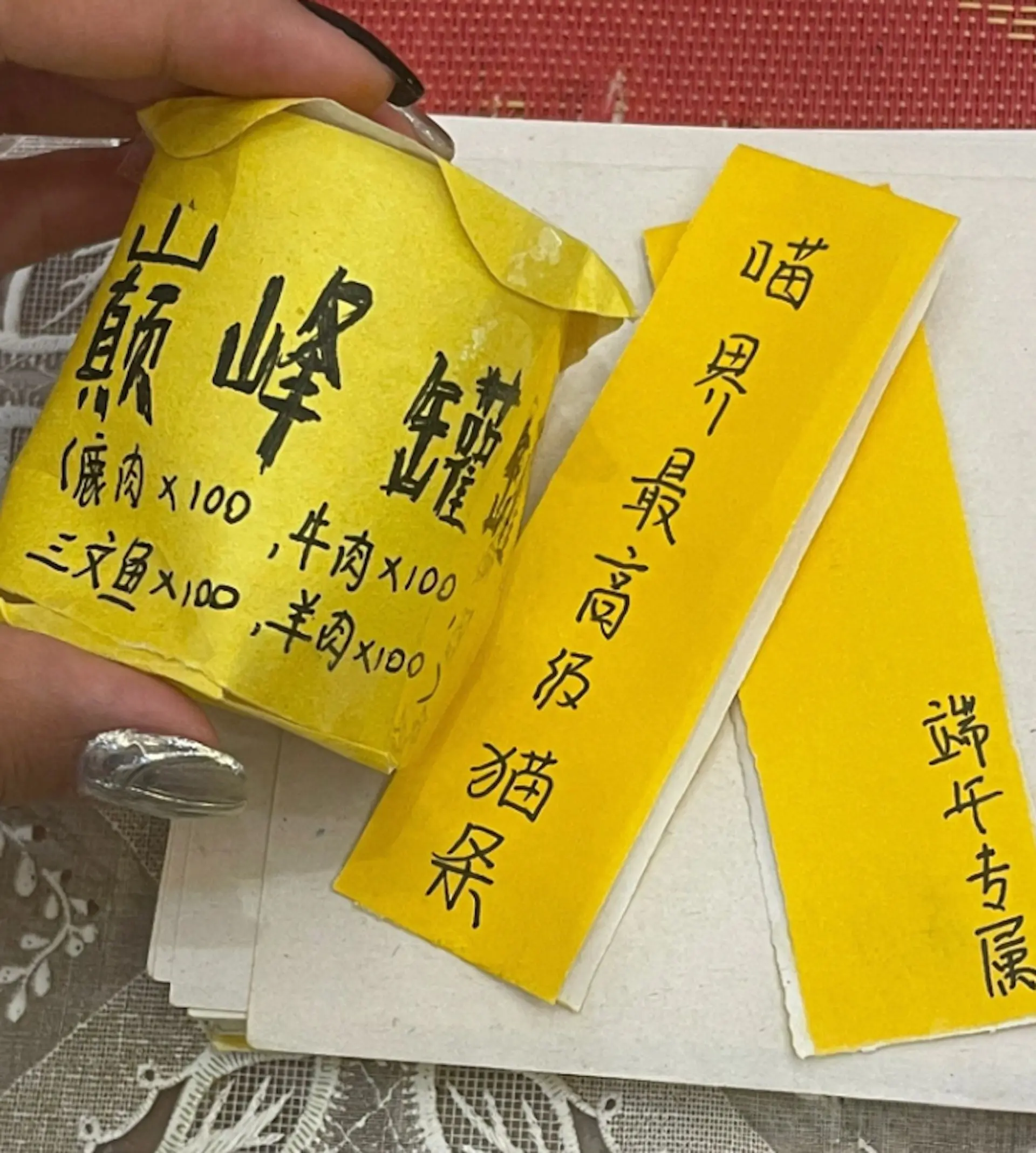 外婆为去世的猫咪做纸质祭品，罐头猫条样样齐：去哪儿都要吃饱！