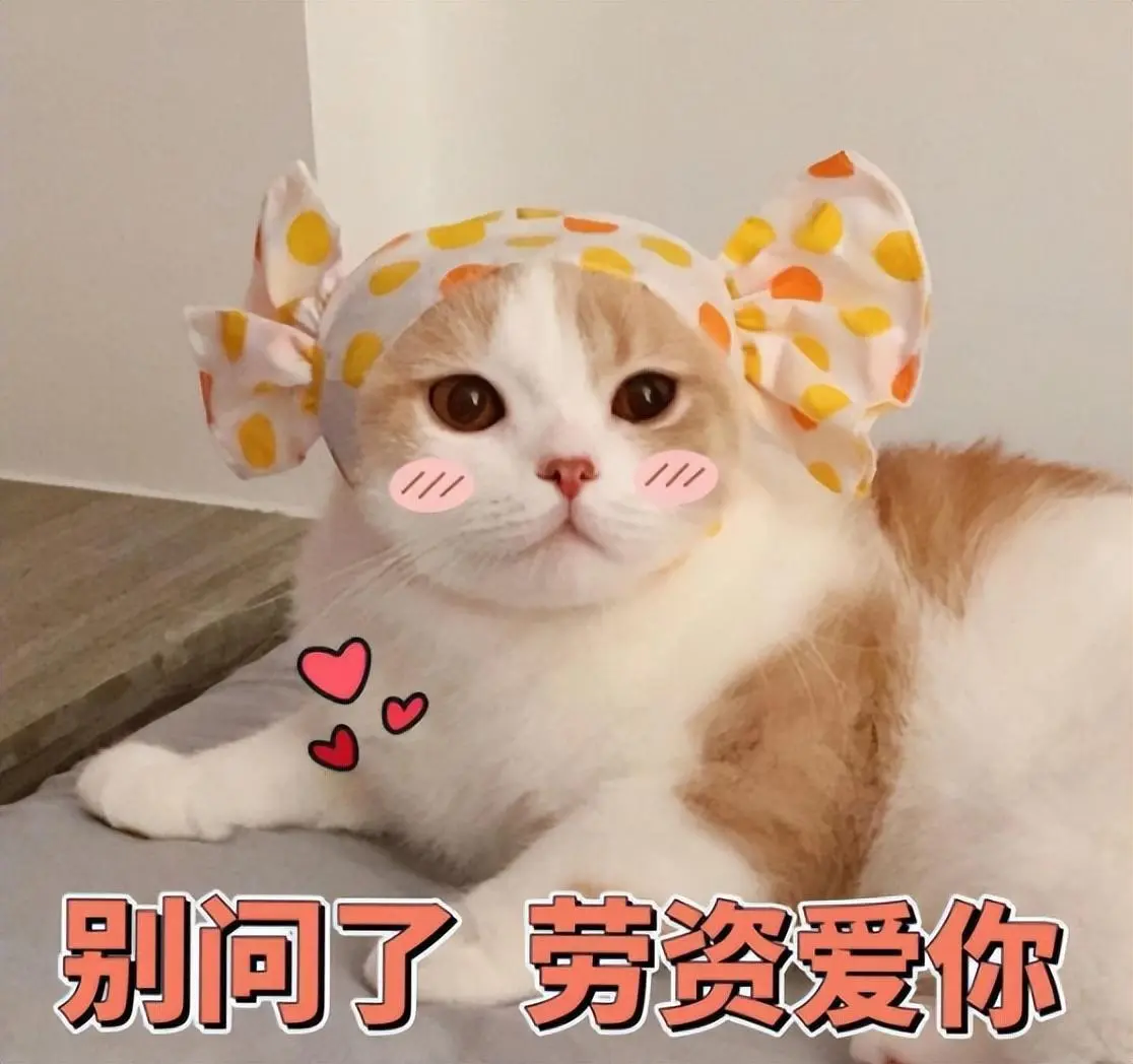 猫咪对我们的爱也是会分等级的！听说最后一级很多铲屎官都达不到！