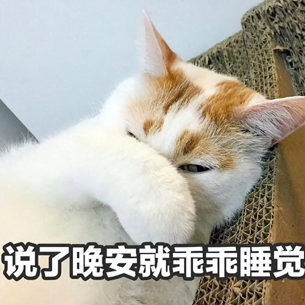 和猫咪一起睡觉会很脏？事实正正相反，和猫咪“一起睡觉”好处真的多！