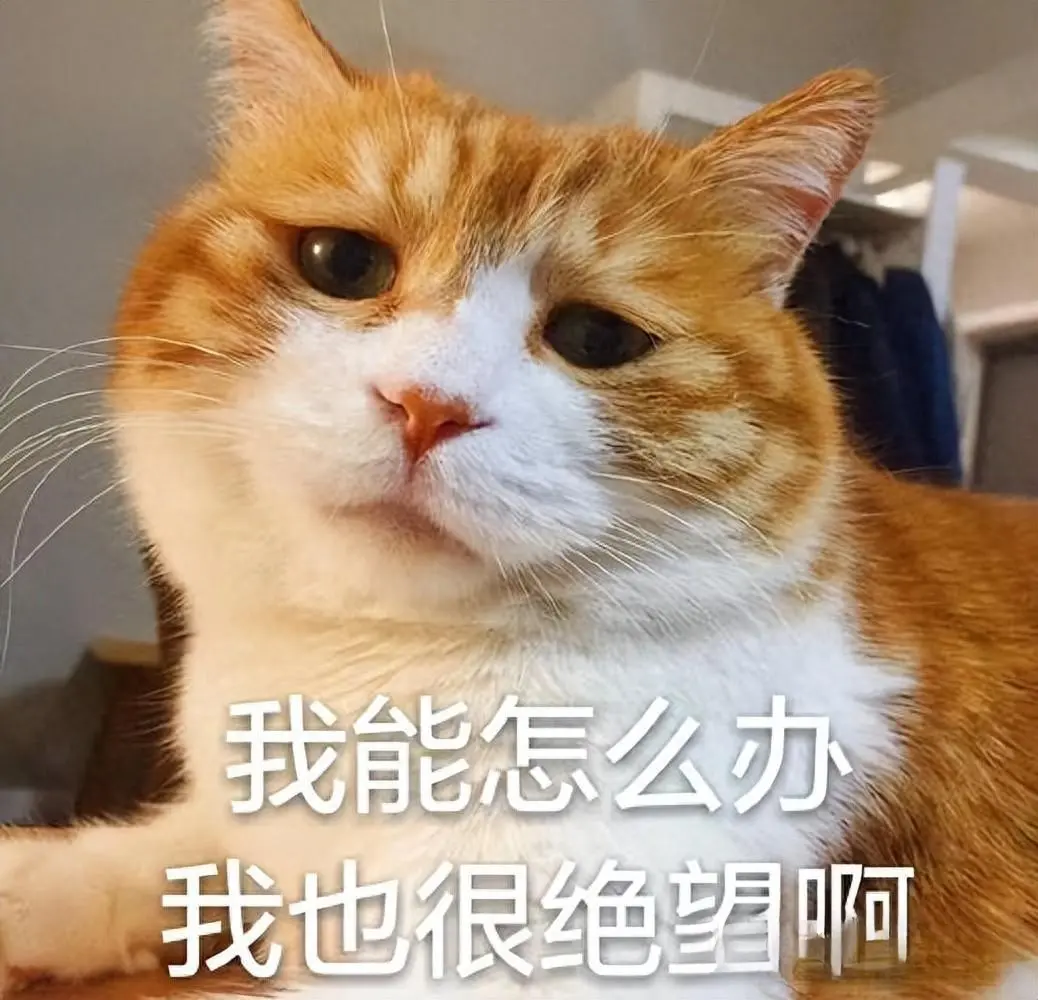 猫咪对猫粮不屑一顾，却对零食和罐头情有独钟，太挑食怎么办？