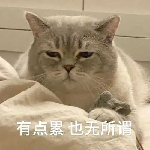 猫咪拉稀但精神很好，还需要担心吗？