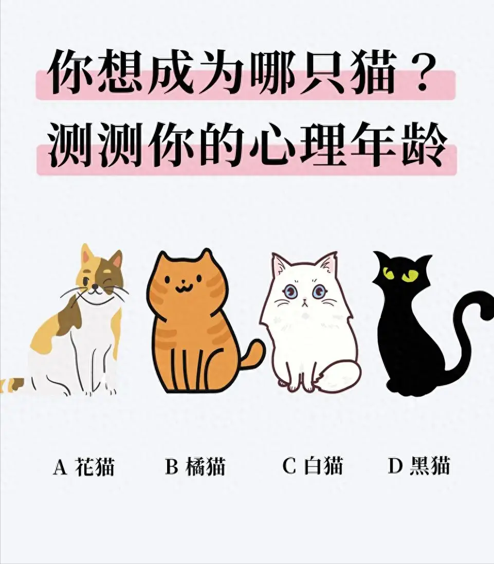 你会是哪类猫的化身？来测测你的心理年龄吧！