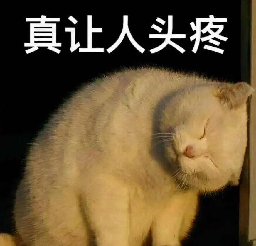 兽医提醒：猫咪有这些表现，可能正在“忍痛”，千万别忽视！