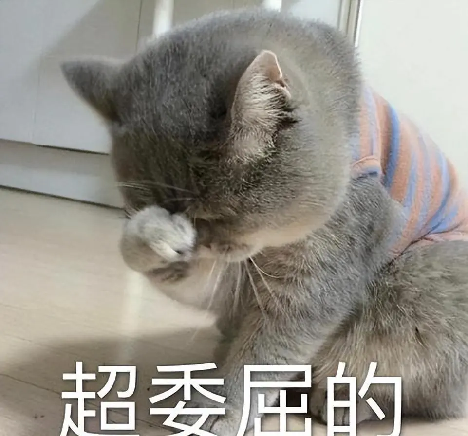 猫咪“中途送人”，它会难过吗？真相让人心疼，送走之前请三思！