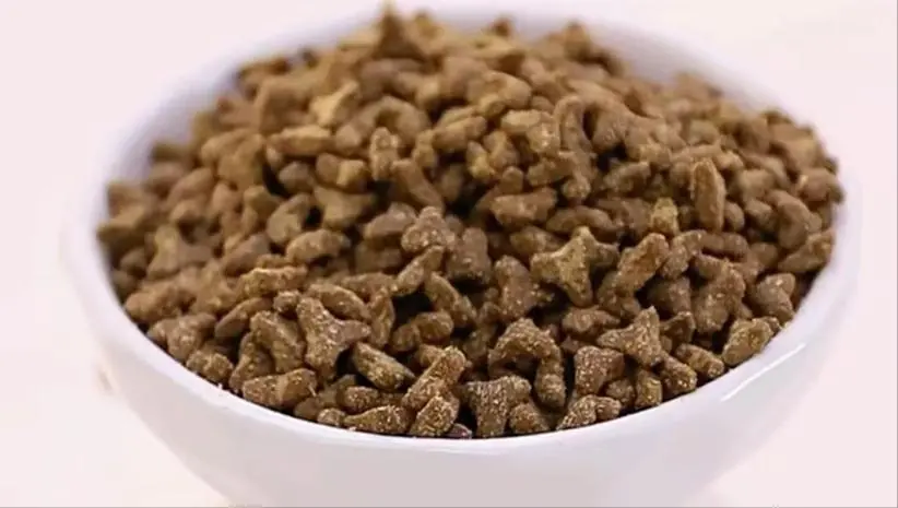 猫粮选购指南：掌握这几步，再也不纠结！