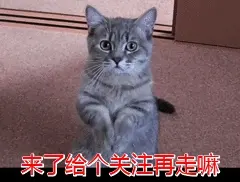 猫粮选购指南：掌握这几步，再也不纠结！