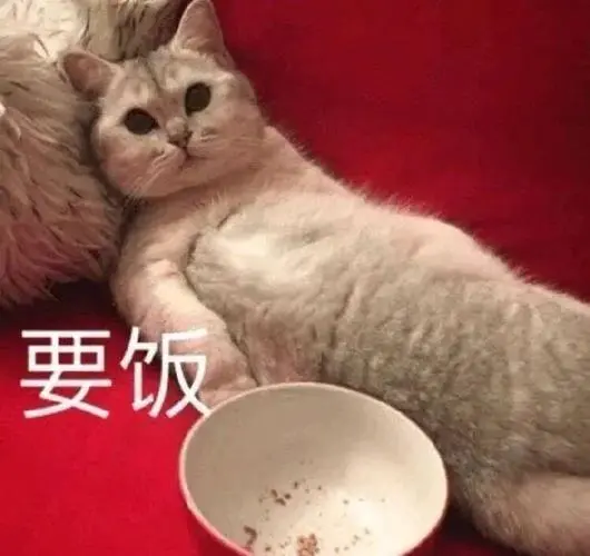 猫粮选购指南：掌握这几步，再也不纠结！