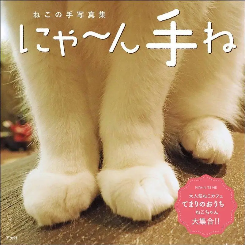日文常见猫咪相关谚语+单字