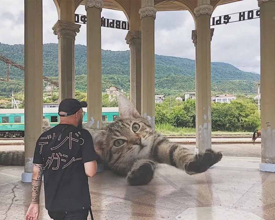 在城市里大搞怪的「巨无霸猫猫」，巨型萌物！网友：我还不吸爆！