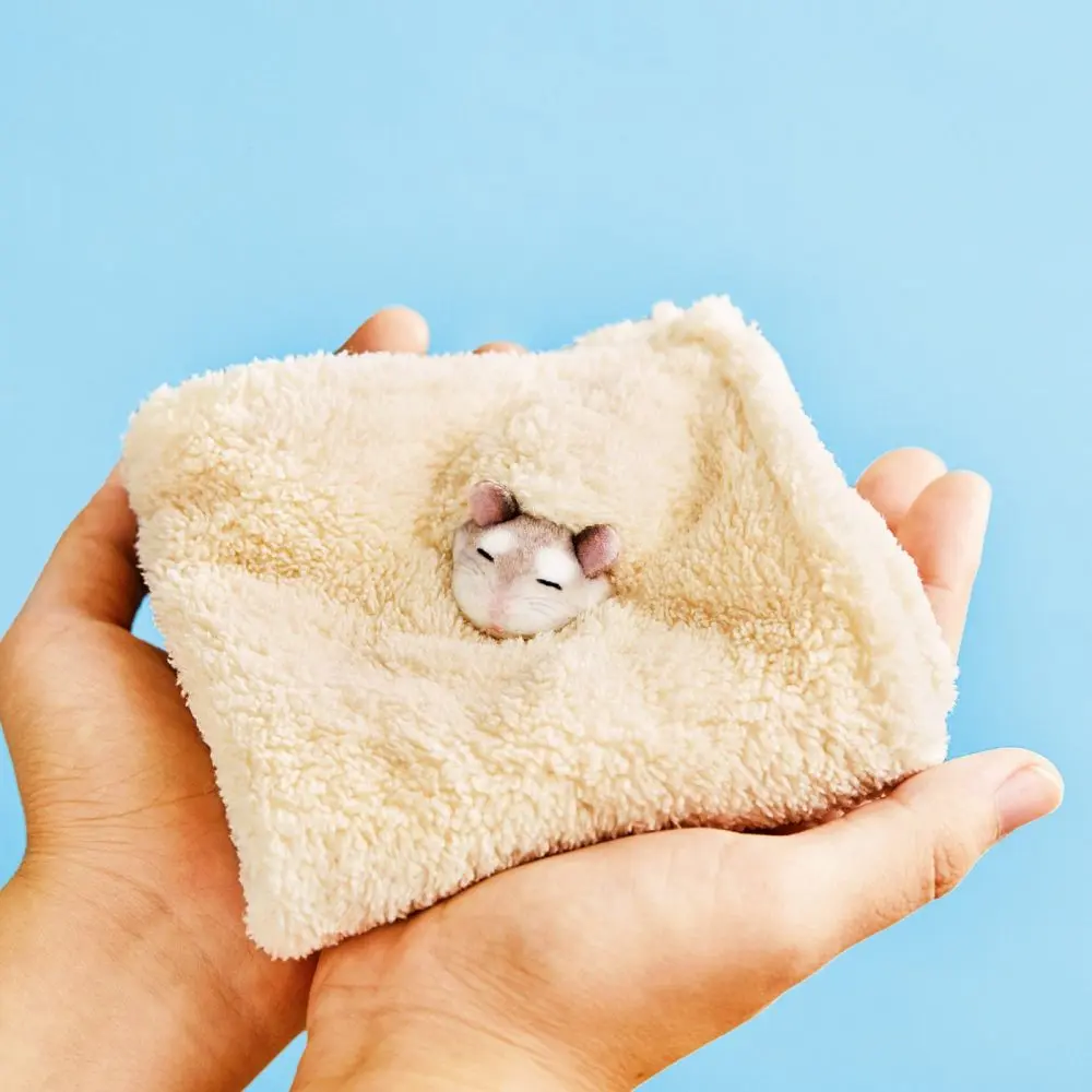 超萌小企鹅拖把、猫咪擦手巾，大扫除让你充满动力！