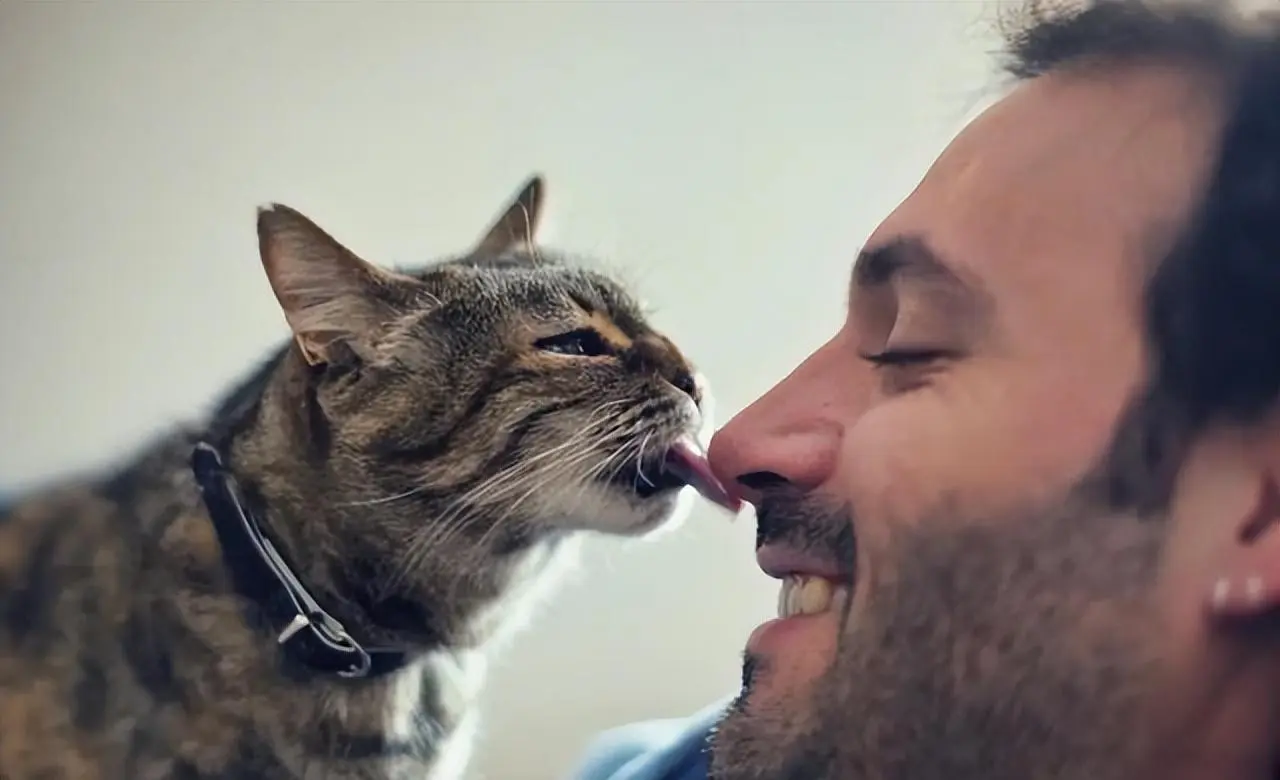 猫咪舔人“很脏”？科学表明：其实并不是，好处还多多