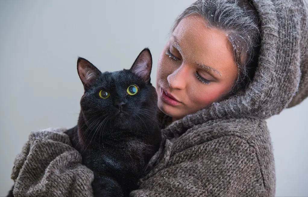 老人家常说：“养猫别养黑色的”，这背后有什么原因呢？