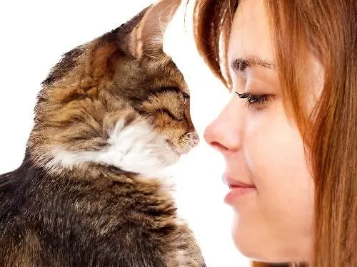 猫咪拒绝被主人亲吻，是嫌弃？其实恰恰相反