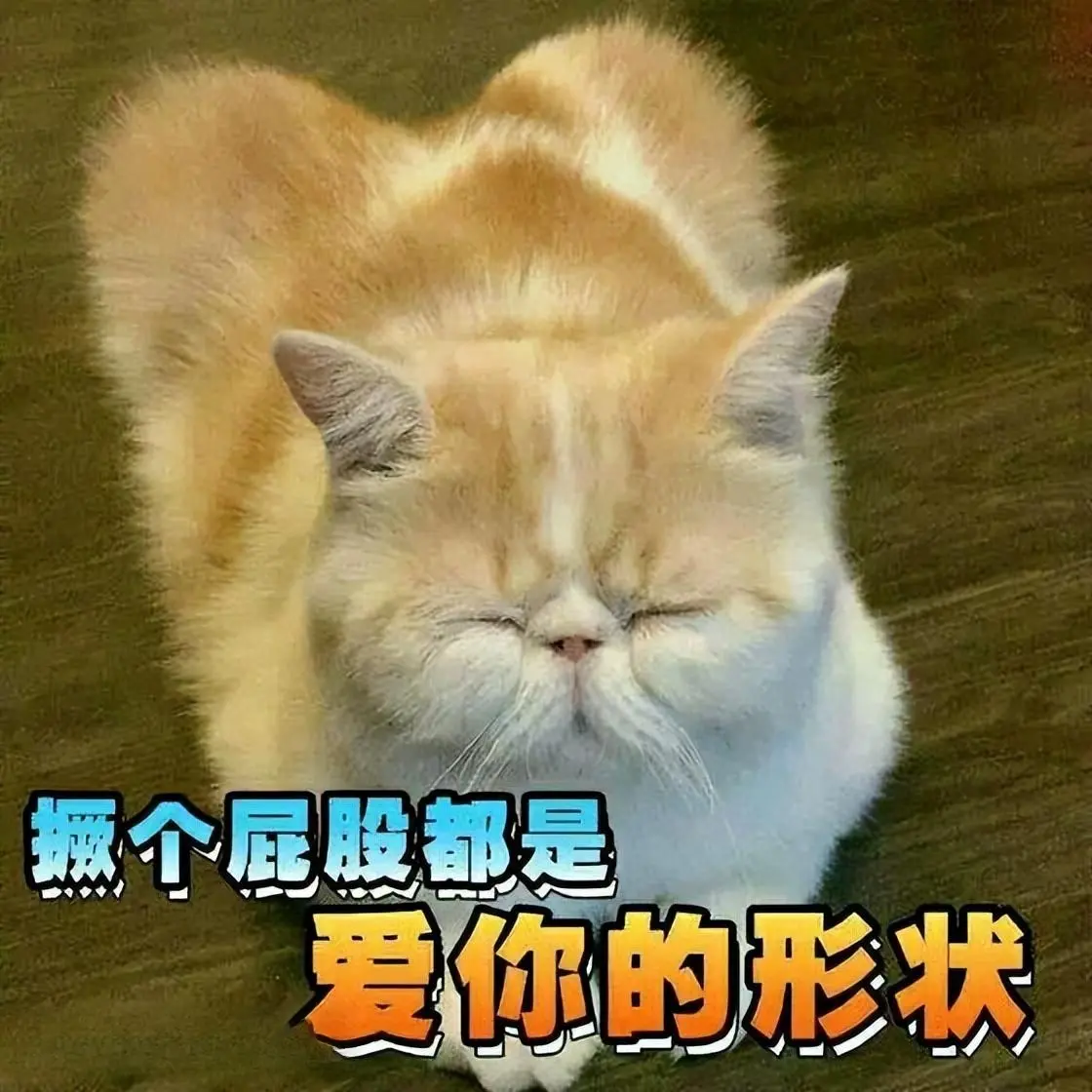 猫咪这些“坏习惯”，竟是聪明的表现，宠主别再责怪它了