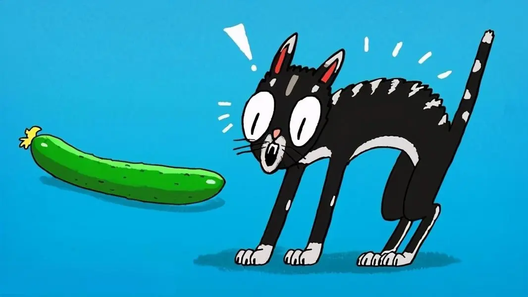 猫咪为什么害怕黄瓜？背后的原因，看完真的好心疼