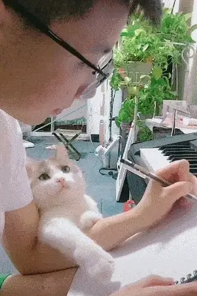 网友：原来养一只黏人的猫咪，竟然这么恐怖！