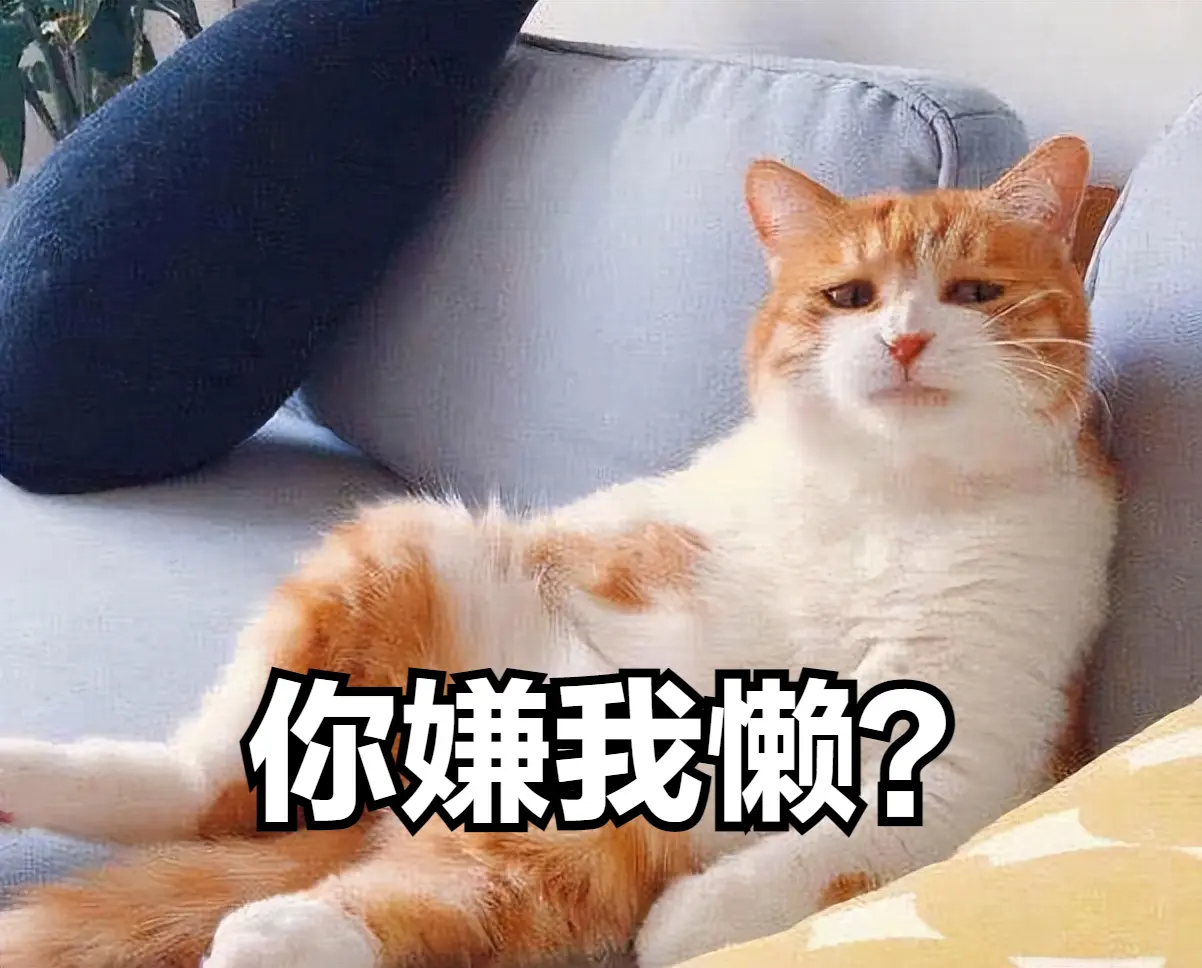 橘猫为什么会遭人嫌弃？网友：养了之后想换猫，再也不想养橘猫了