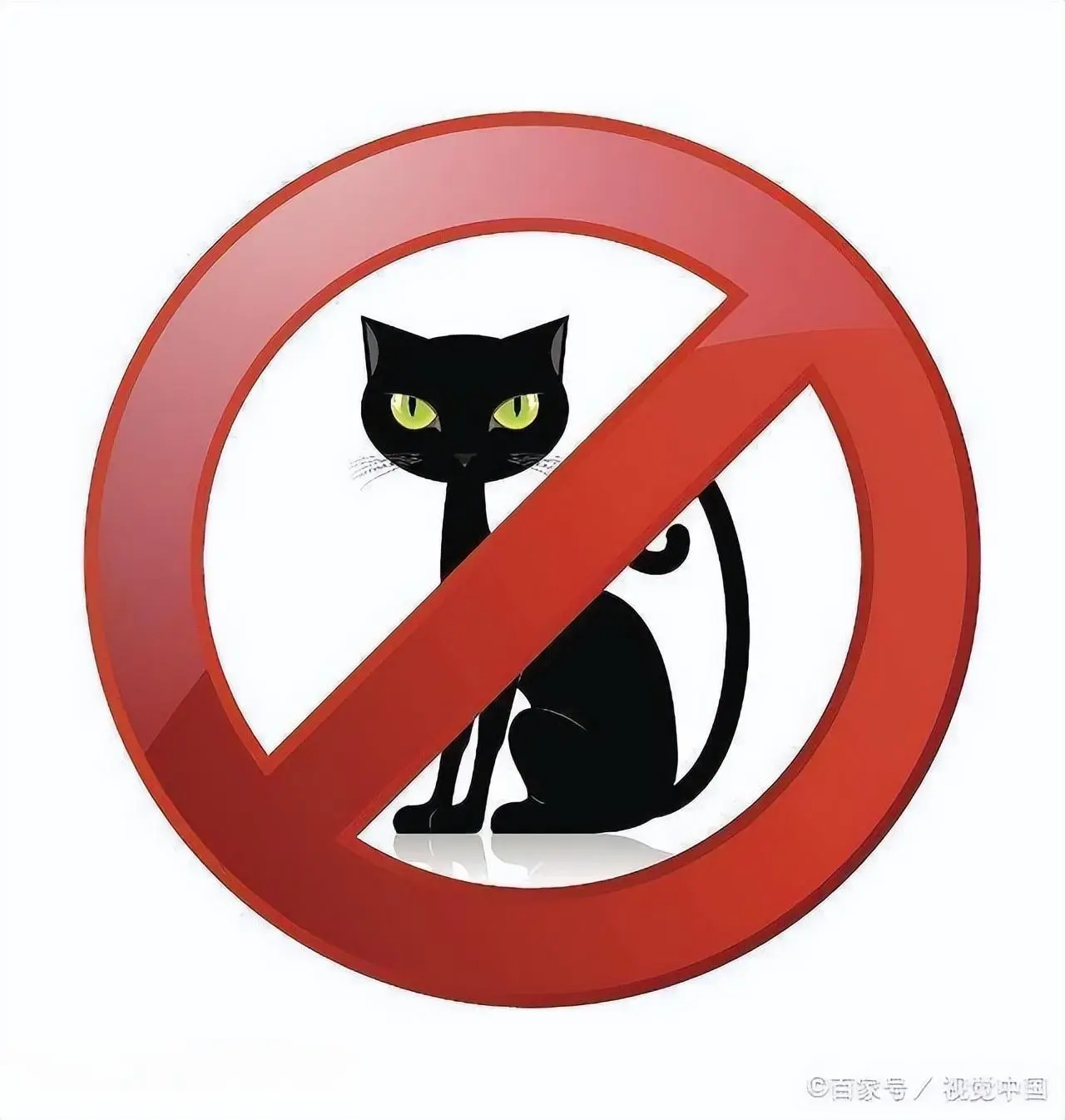 最新“禁养猫”名单公布，并不是所有猫咪都能养的