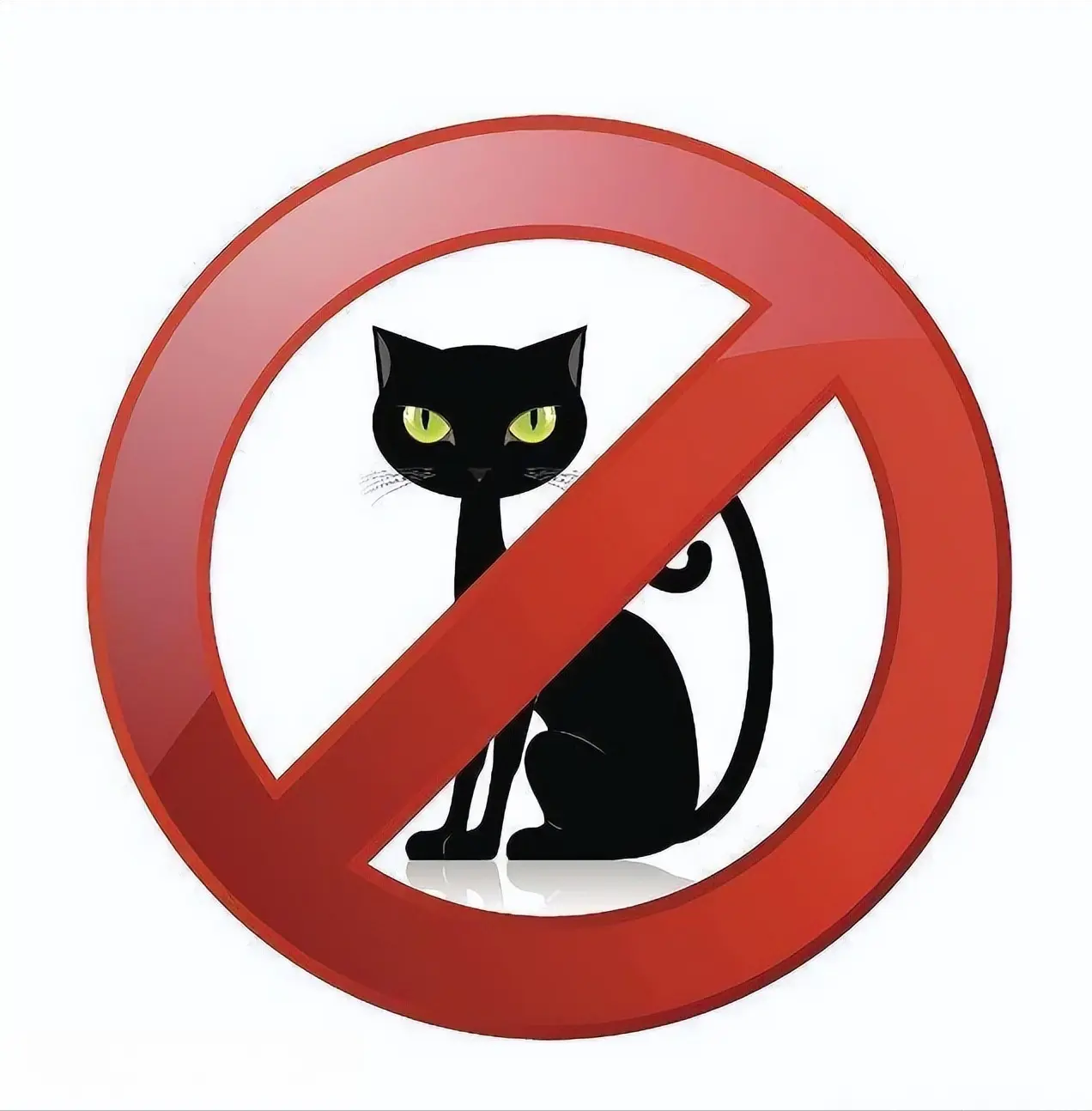 最新“禁养猫”名单出炉，已经明令禁止饲养，养了就是“大冤种”