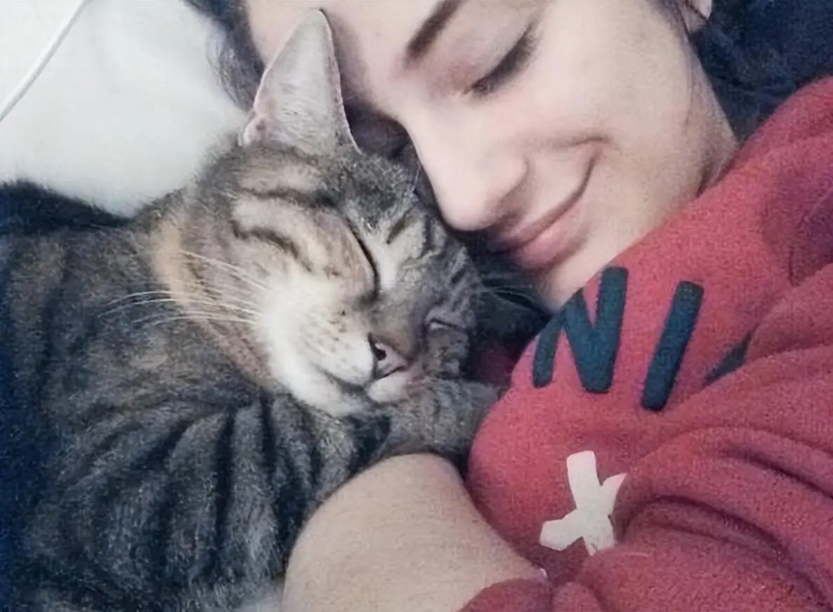 猫咪喜欢贴着主人睡觉，不仅仅是喜欢你，还有这几点原因