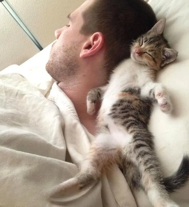 猫咪总爱靠着主人睡，不是表达爱意，而是有这6种含义