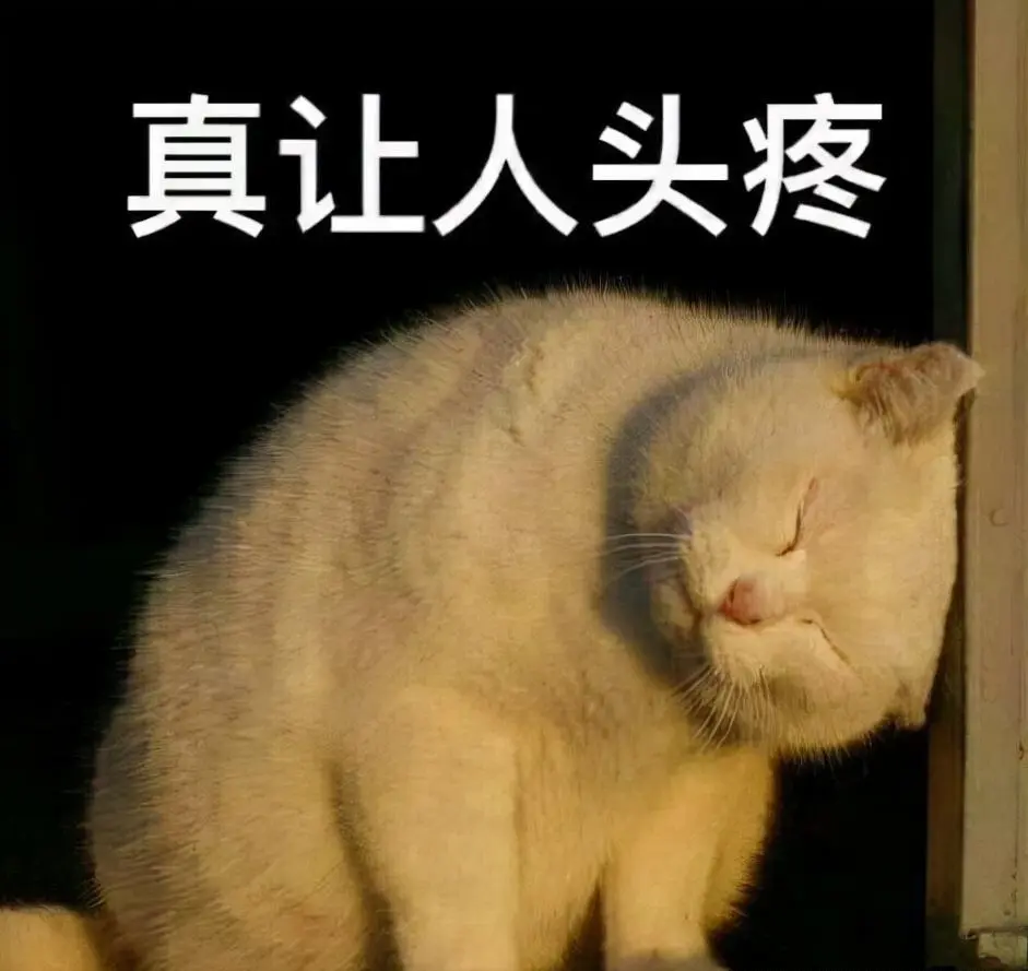 猫咪有这些举动，表明它在“忍痛”，及时干预及时治疗