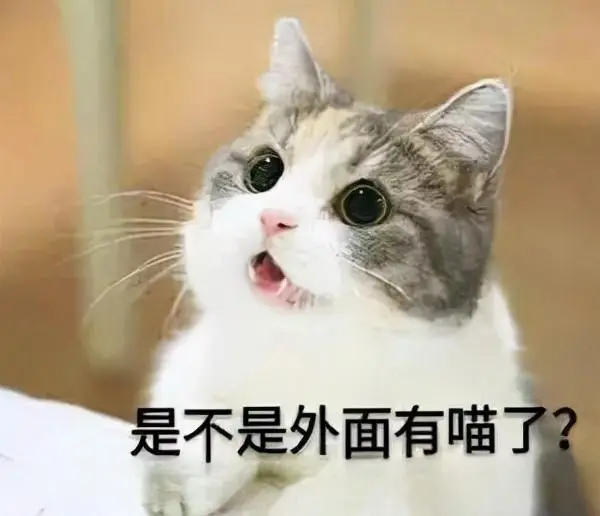 猫咪为什么爱闻鞋子？为什么总喜欢凑到鞋堆里？