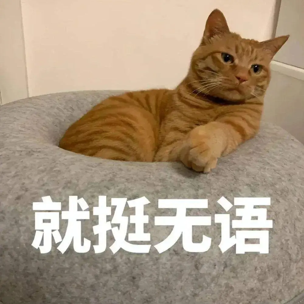 租客退房留下2猫1狗1鸡，房间卫生惨不忍睹，阳台上的鸡做了鸡公煲