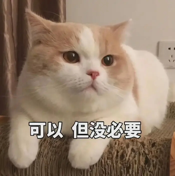 “社牛猫”的7大表现，你以为只有人类才会有社交牛逼症吗？