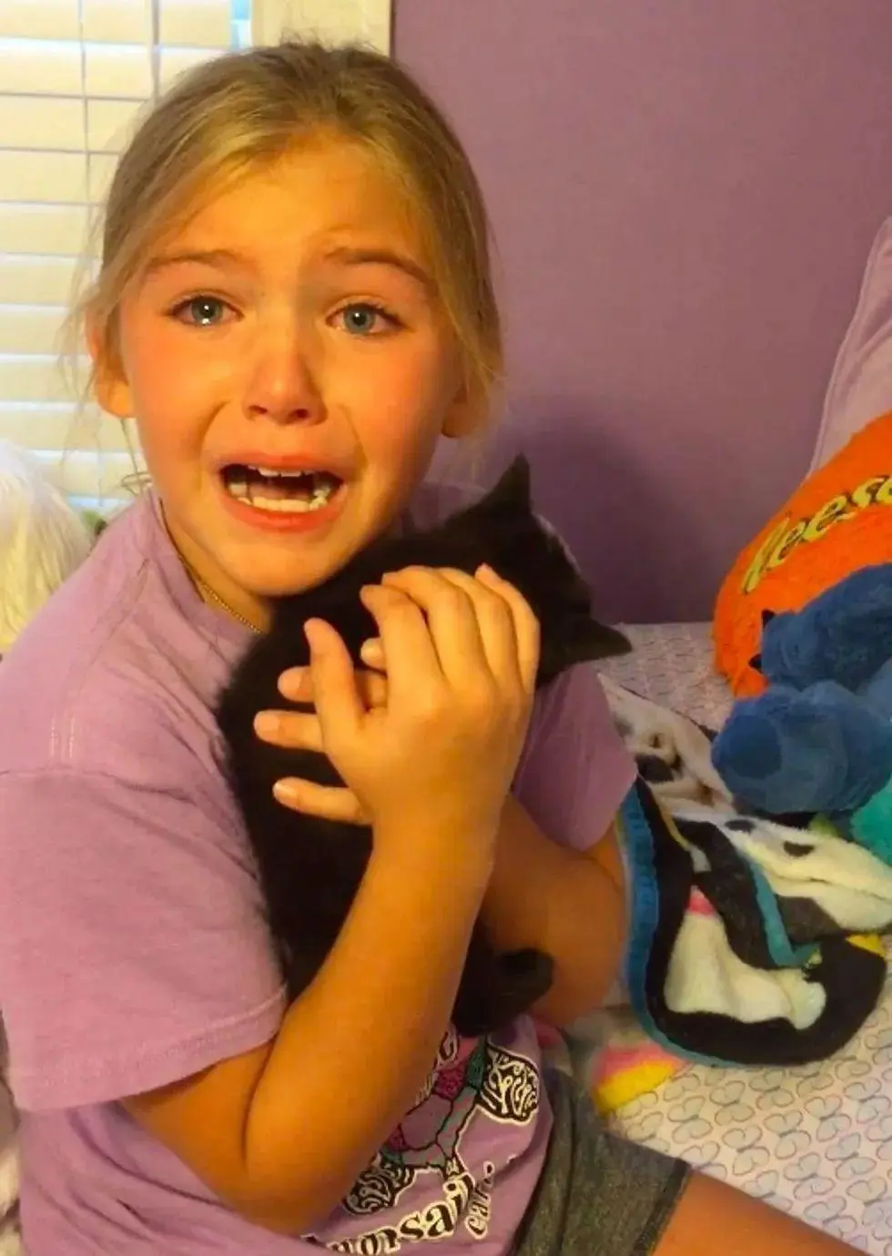 9岁女孩回家看到一只小黑猫，当场崩溃大哭：是他们家的老黑猫Simon吗？