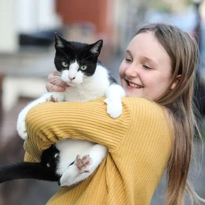 猫咪喜欢从邻居家偷东西送给主人，主人不得不设立了一个失物归还箱