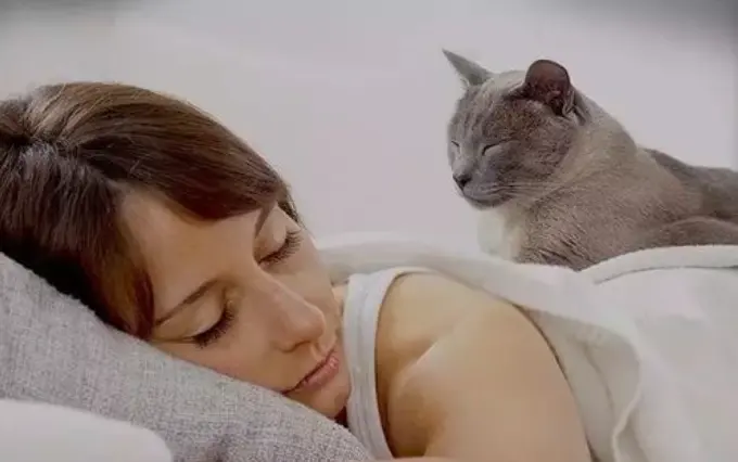 与猫咪同床共枕，会危害到我们的健康吗？