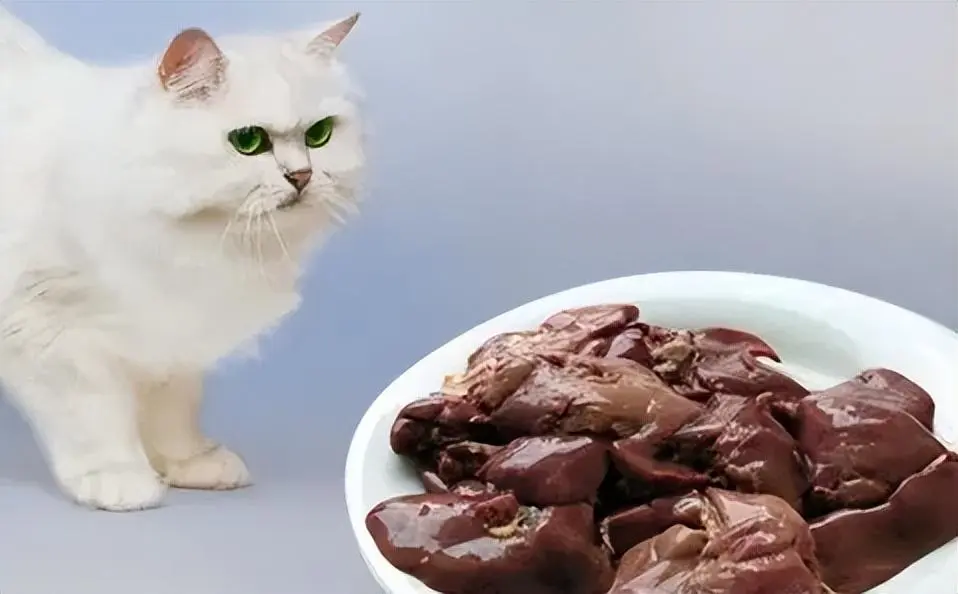 餐桌上这些“毒食”，千万别再喂猫了！对猫咪来说是致命“毒药”