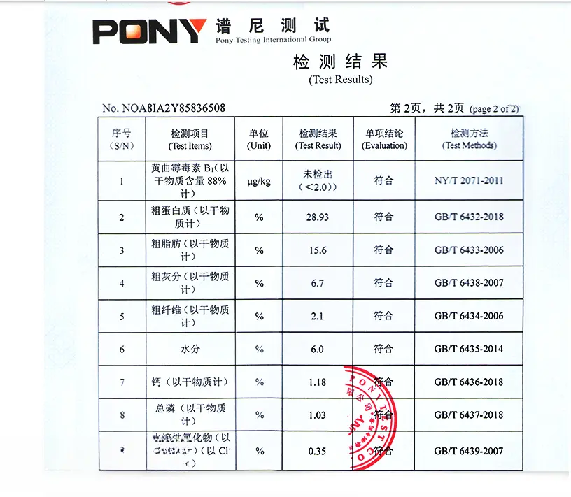 你养的是比熊吗？不妨看看这篇文章，收获会很多