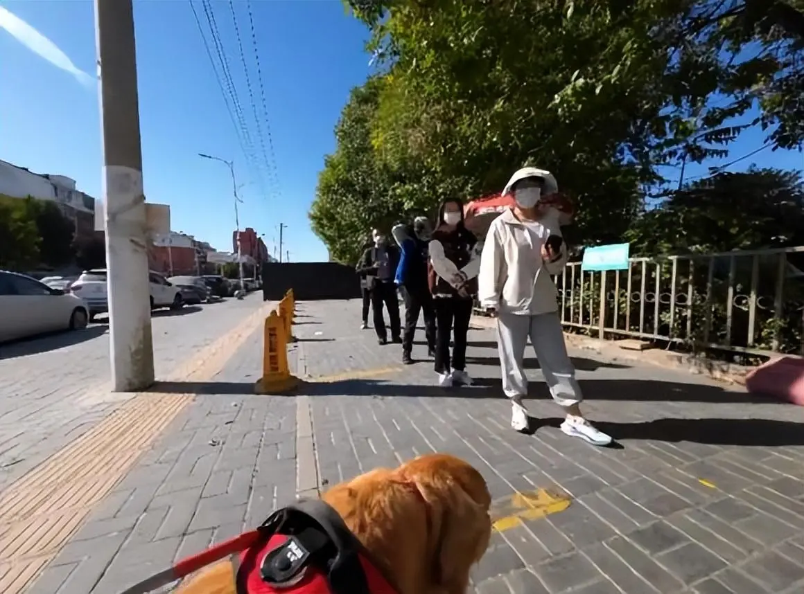 导盲犬带主人做核酸，刚站好位置却向后方走去，难道刚刚搞错位置了吗？