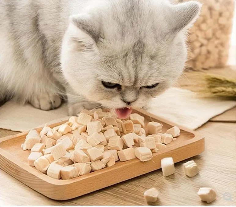 餐桌上这些“毒食”，千万别再喂猫了！对猫咪来说是致命“毒药”