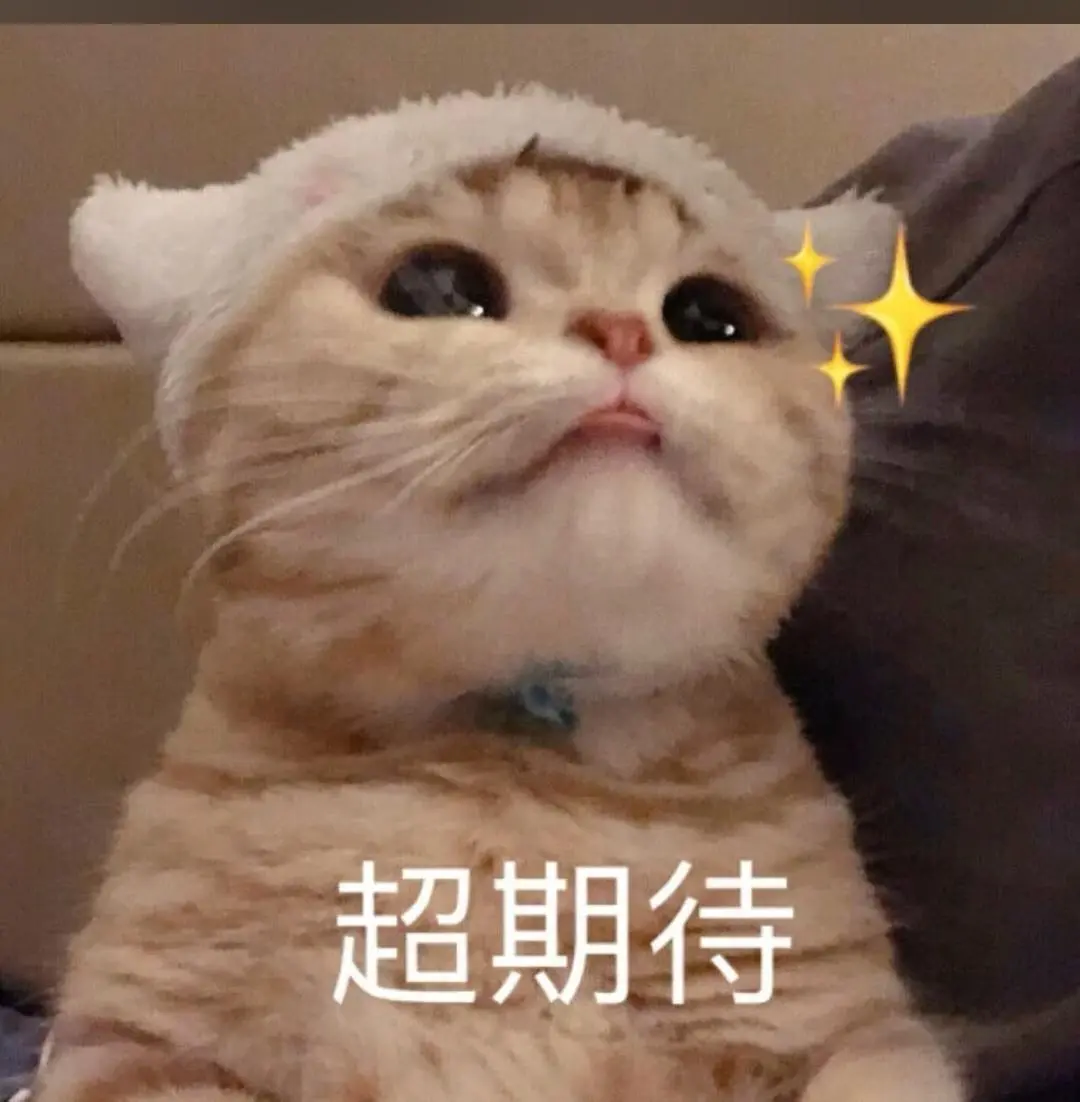 猫能“丑”到什么程度？猫咪的丑绝对是没有下限的！