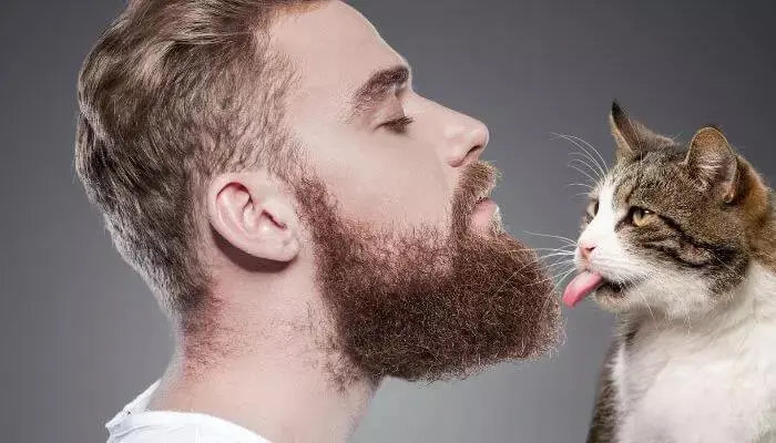 为什么猫喜欢男性的胡须？如何阻止我的猫舔我的胡须？