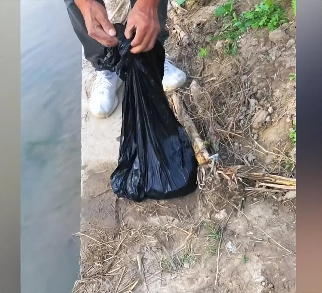 夫妻俩听到河里的垃圾袋传来叫声，捞上来一看竟是一窝奄奄一息的狗幼崽