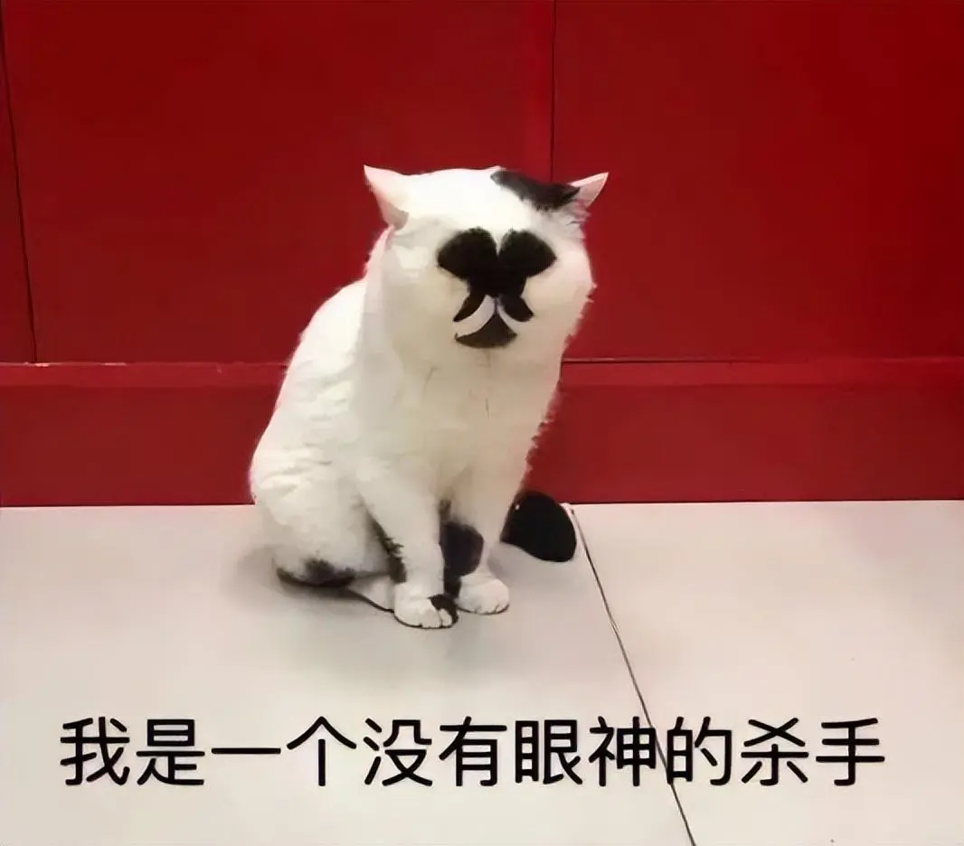 猫能“丑”到什么程度？猫咪的丑绝对是没有下限的！