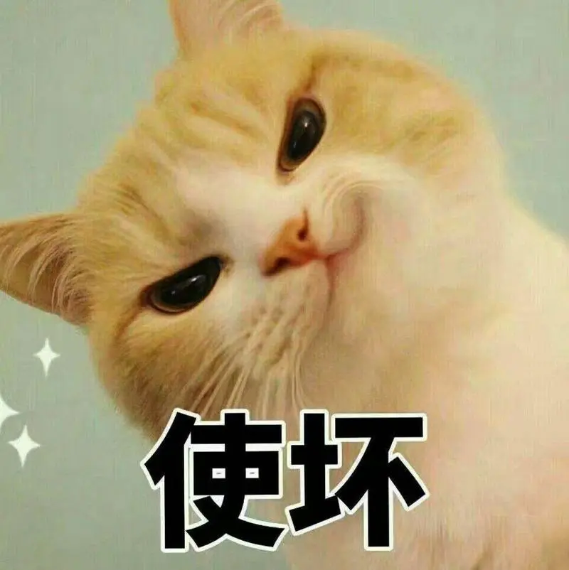 猫咪聪明会有以下表现，你家猫咪有什么聪明的表现吗?