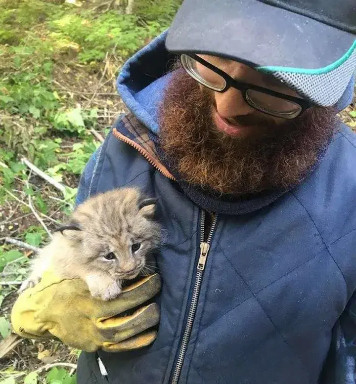 男人救下了流浪小猫，却没有意识到它不仅仅是一只流浪猫